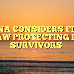 CHINA CONSIDERS FIRST LAW PROTECTING DV SURVIVORS